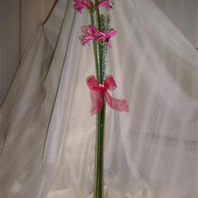 fwthumbCNV00012 (2).jpg